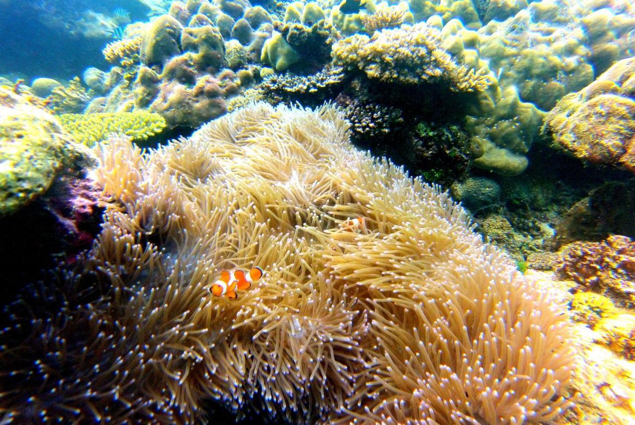 Arkadia Beach Resort Underground River Sabang  Extérieur photo